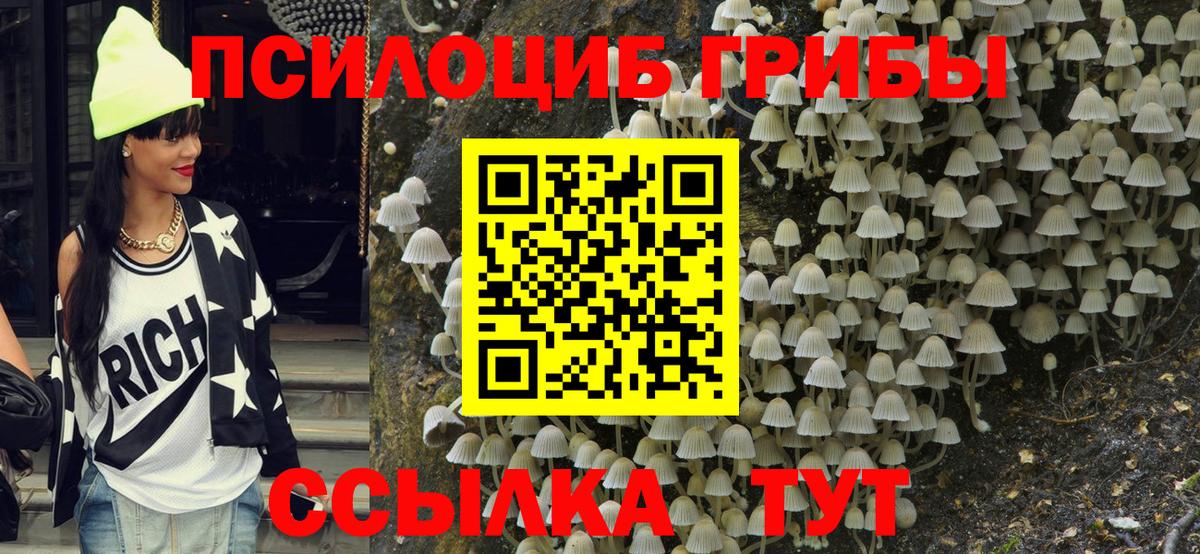 Галлюциногенные грибы GOLDEN TEACHER Торжок