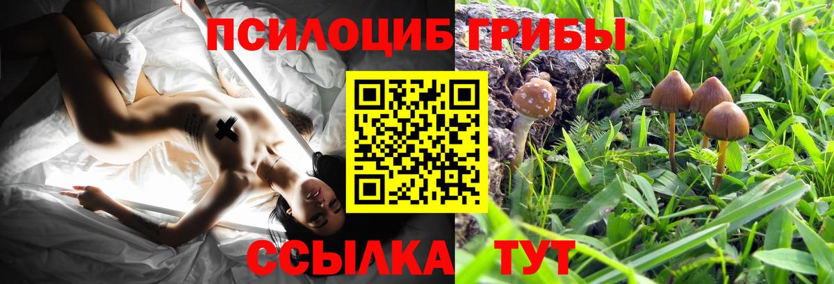 Торжок  Галлюциногенные грибы прущие грибы  магазин    Вход с VPN  Галлюциногенные грибы мухоморы 